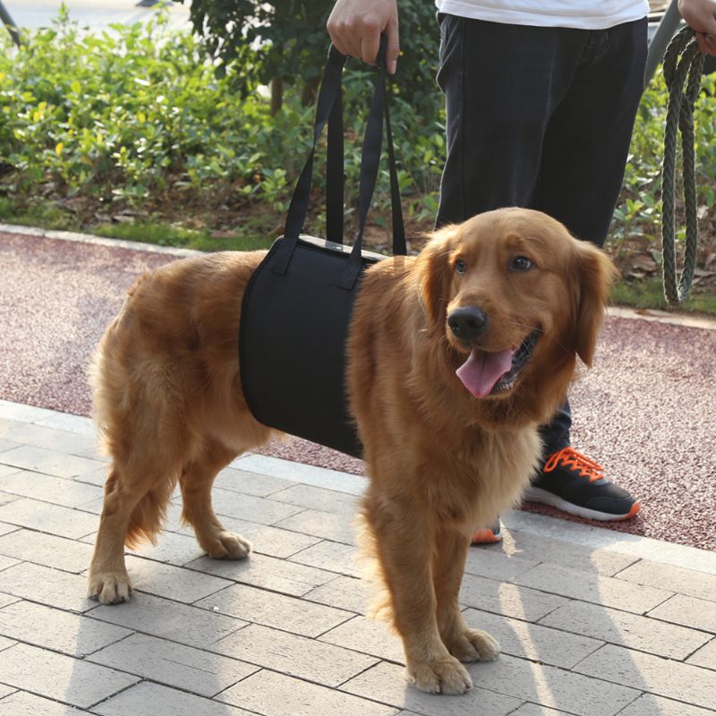 Dog Lift Support Kutya Sling