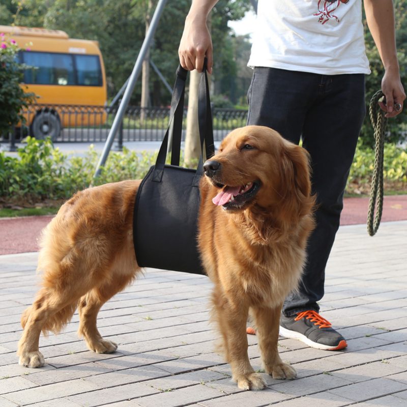 Dog Lift Support Kutya Sling