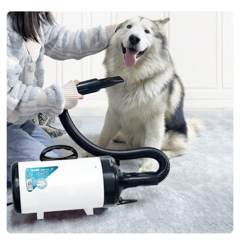 Jase Pd9001 Kisállatfúvógép 2200w Alacsony Zajú Wam Wind Háztartási Macska Kutya Gyors Hajszárító Kisállatkellékek Ápolásához