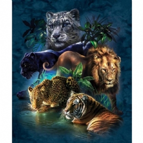Diy 5d Gyémánt Festmények Tigris Oroszlán Hímzés Kereszt Kézműves Öltés Szerszámkészlet