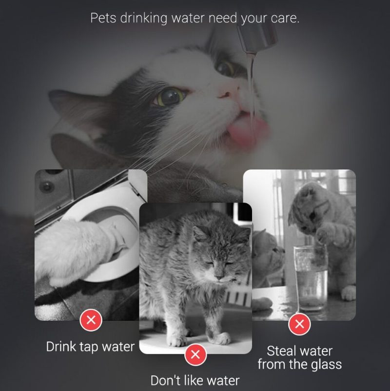 Cat Szökőkút Szűrő Automatikus Érzékelő