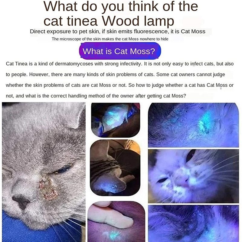 Cat Wood’s Moss Light Kisállat Gombaészlelő Zseb Állatorvos Készlet