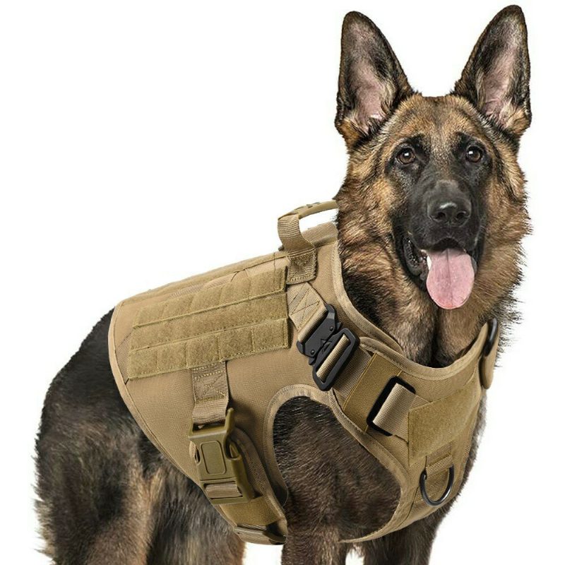 Hám Nélkül Nagytestű Kutyáknak Katonai Taktikai Kutyahám Mellény Német Juhász Doberman Labrador Kutyakiképző Termék