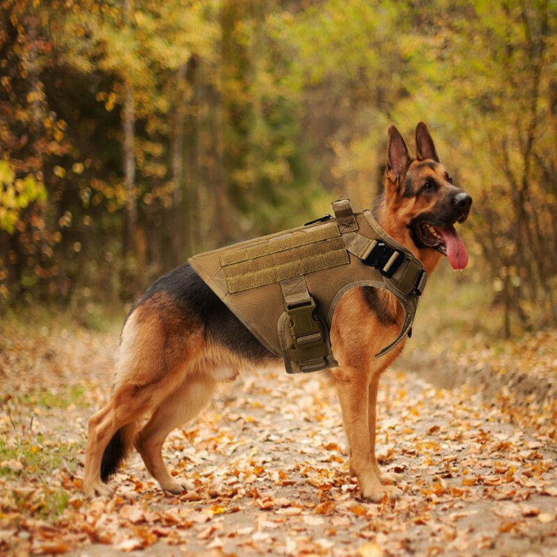 Hám Nélkül Nagytestű Kutyáknak Katonai Taktikai Kutyahám Mellény Német Juhász Doberman Labrador Kutyakiképző Termék