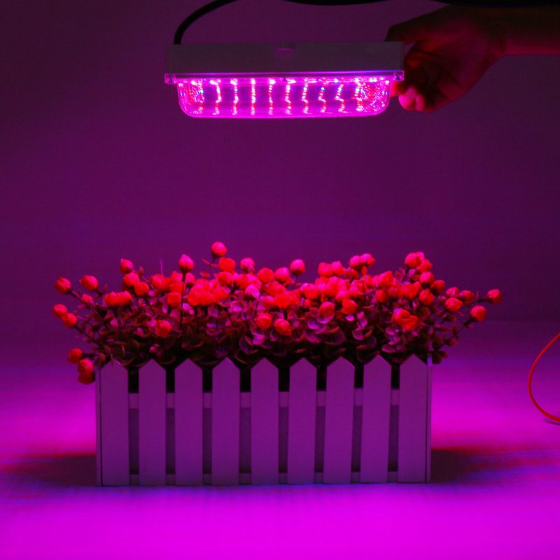 100 W Led Üvegházhatású Kerti Hidroponikus Növénytermesztési Fény Teljes Spektrumú Fénypanel