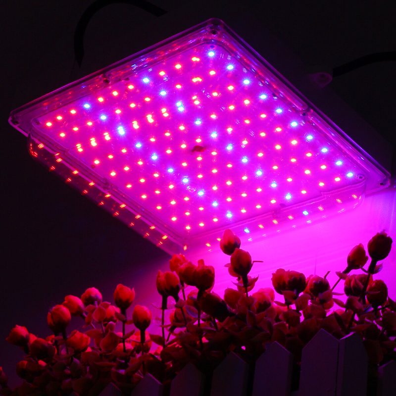 100 W Led Üvegházhatású Kerti Hidroponikus Növénytermesztési Fény Teljes Spektrumú Fénypanel