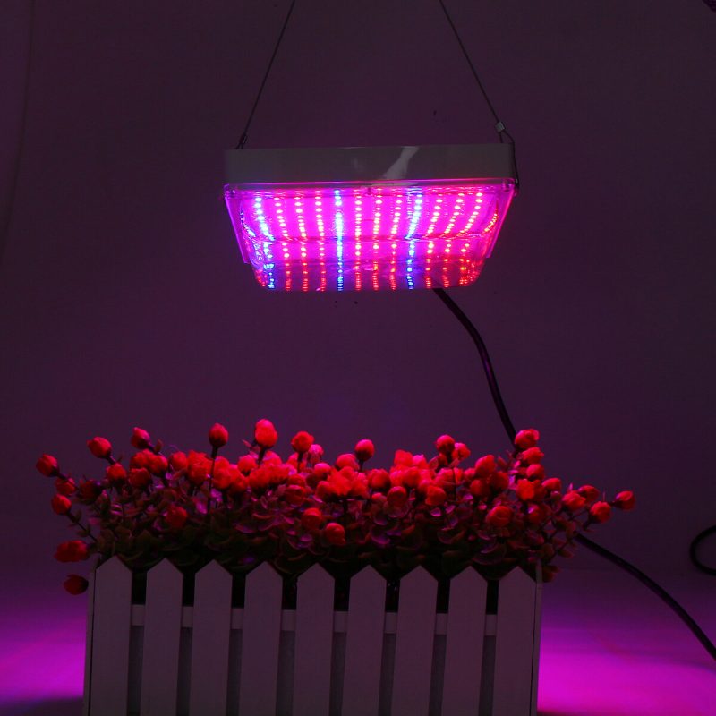 100 W Led Üvegházhatású Kerti Hidroponikus Növénytermesztési Fény Teljes Spektrumú Fénypanel