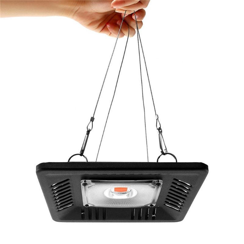 100 W Teljes Spektrumú Cob Led Grow Flood Light Vízálló Növényi Zöldségvirág Hidroponikus Lámpa Ac90-264v