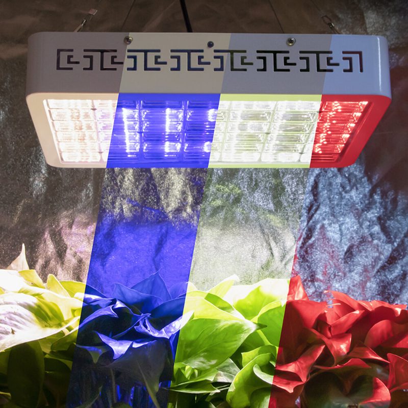 100 W Teljes Spektrumú Led Növekedési Lámpa Automatikus Ciklusidőzítő Szabályozható Beltéri Led Intelligens Távirányítóval