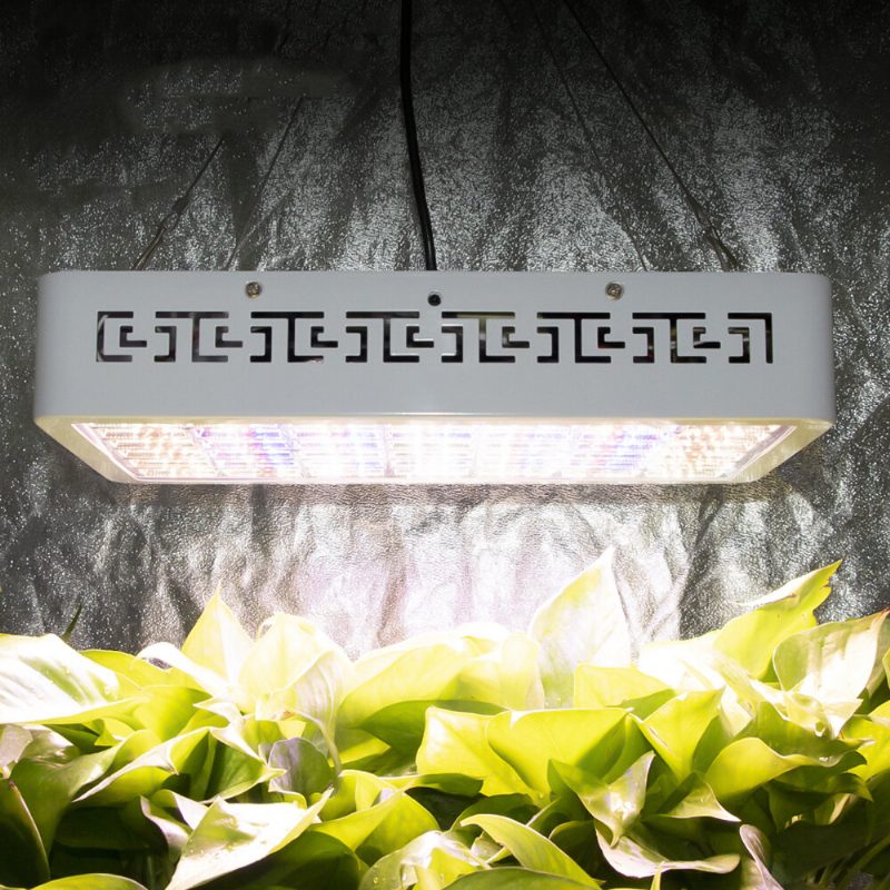 100 W Teljes Spektrumú Led Növekedési Lámpa Automatikus Ciklusidőzítő Szabályozható Beltéri Led Intelligens Távirányítóval