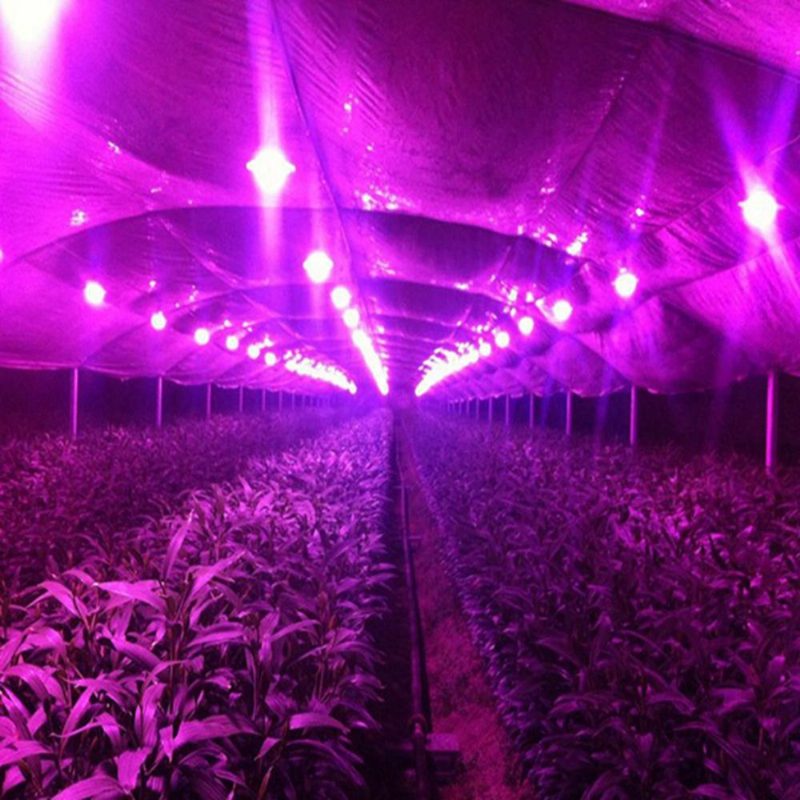 20 W-os Led-es Cob Körkörös Növekedésű Könnyű Chipes Barkácsolás Ac90-240 V-os Meghajtó Tápegységgel Beltéri Növények Virágaihoz