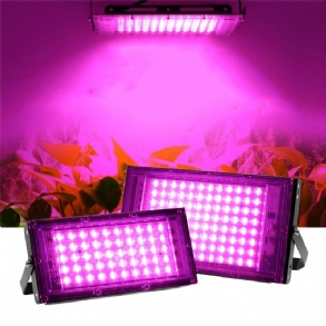 220v Led Grow Light Fitolámpa Növények Teljes Spektrumú Led Floodlight Virágok Palánták Növénytermesztés