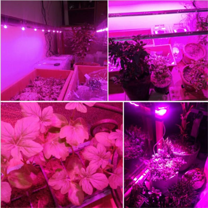30w/50w/70w Nagy Teljesítményű Teljes Spektrumú Led Grow Cob Fénychip Növényekhez Zöldségekhez Ac110v/ac220v