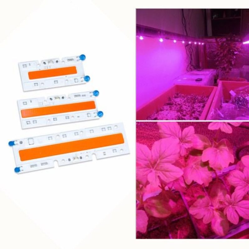 30w/50w/70w Nagy Teljesítményű Teljes Spektrumú Led Grow Cob Fénychip Növényekhez Zöldségekhez Ac110v/ac220v