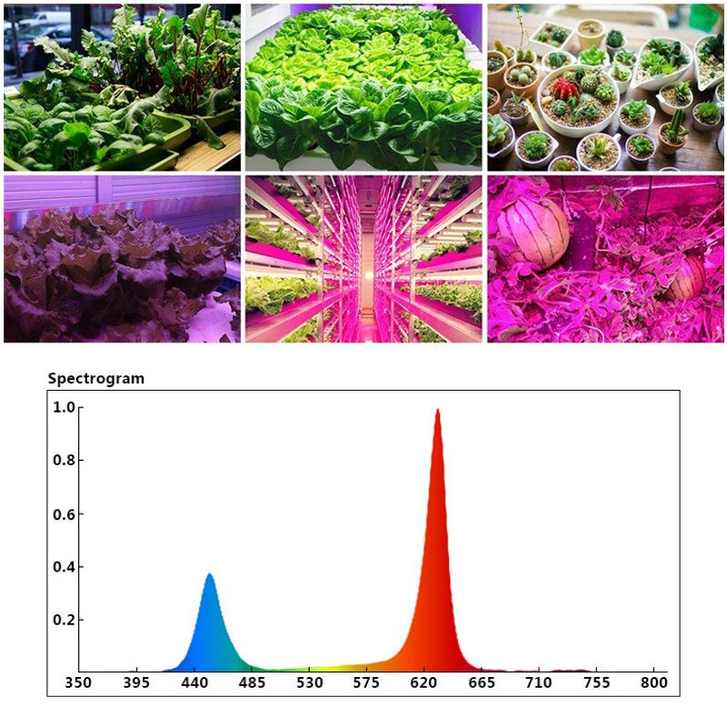 45 W Led Grow Light Panel Növekvő Lámpa Hidroponikus Beltéri Virágos Zöldségvirágzás Ac85-265v