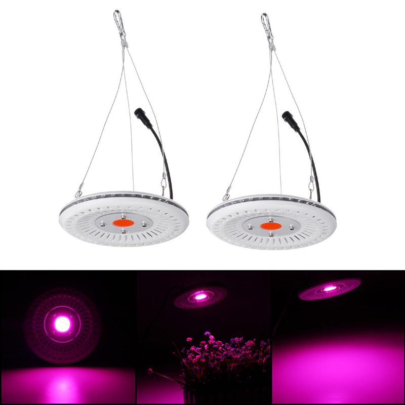 50 W Cob Led Kerek Teljes Spektrumú Lámpa Vízálló Ip64 Árvízi Fény Növényi Virág Beltéri Hidroponikus Üvegházi Növekedési