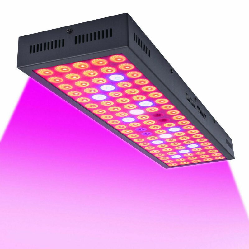 5000 W-os Led Grow Light Strip Hidroponikus Teljes Spektrumú Vega Virágos Növényi Lámpa Panel