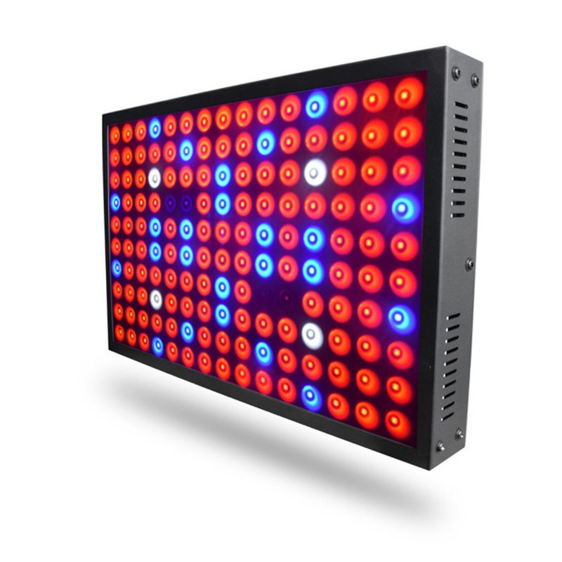 600 W Teljes Spektrumú Led Grow Light Hidroponikus Beltéri Zöldségvirágos Panellámpa