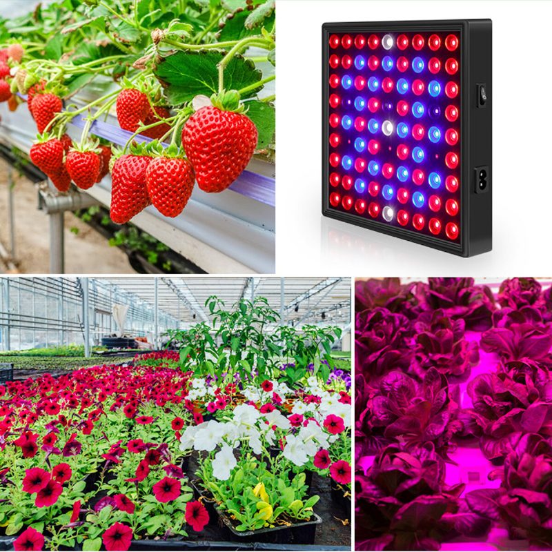 Ac110-240v Led Grow Light Teljes Spektrumú Növényi Lámpa Beltéri Hidroponikus Vegavirágokhoz