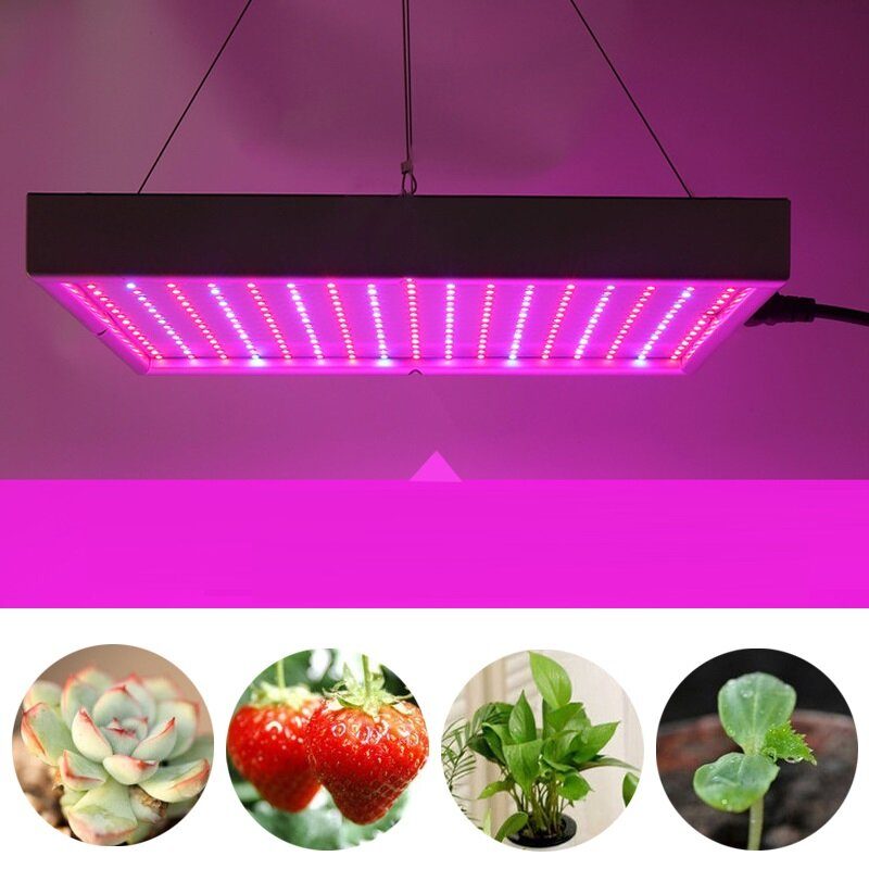 Ac85-265v 60w 289 Led Grow Light Termesztő Lámpa Zöldségvirágos Beltéri Növényekhez