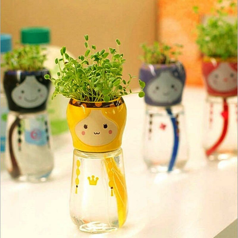 Diy Mini Babafarkú Vízelnyelő Cserepes Növény Asztali Irodai Dekoráció