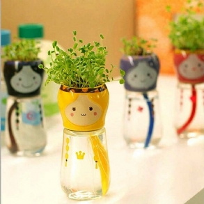Diy Mini Babafarkú Vízelnyelő Cserepes Növény Asztali Irodai Dekoráció