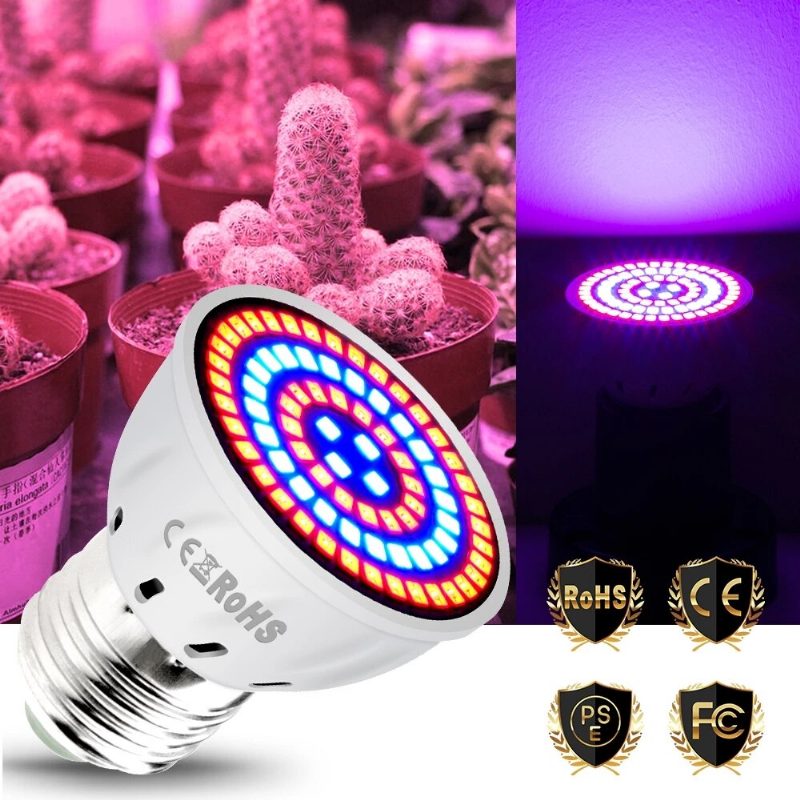 Led Fitolámpák Teljes Spektrumú Növekedési Fény Led Izzók Palánta Led Növénytermesztő Lámpatartó E14 E27 Üvegházi Ültetéshez