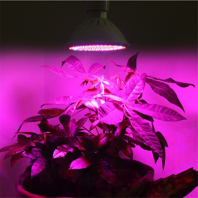 Led Grow Izzó 20 W Növényi Lámpa 200 Led-del E27 Base Izzók Beltéri Növényekhez Zöldségekhez Üvegházakhoz És Hidroponikusokhoz