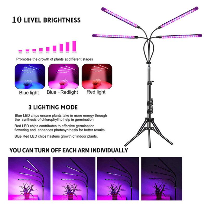 Led Grow Light Állványos Növénytermesztő Lámpa Lámpák Állvánnyal Beltéri Növényekhez