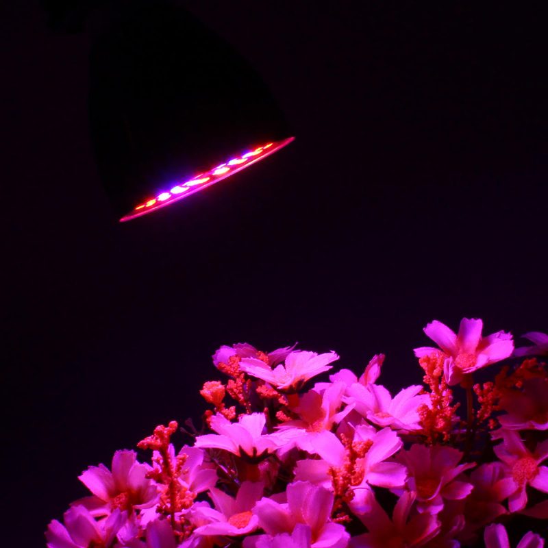 Led Izzó Növekvő Fény E27 2835 Smd Teljes Spektrumú Növényi Hidroponikus Akvárium Ac85-265v