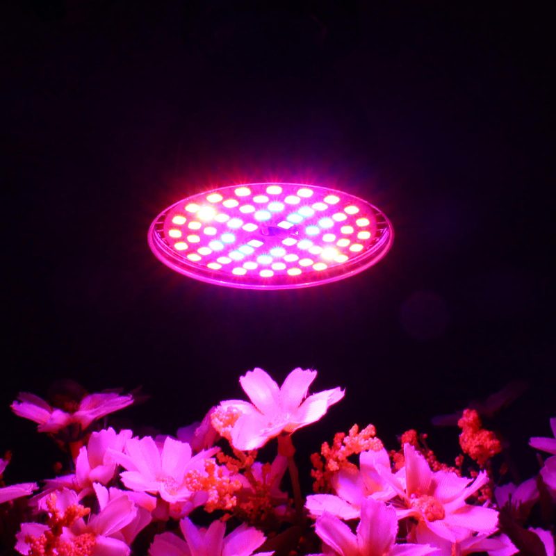 Led Izzó Növekvő Fény E27 2835 Smd Teljes Spektrumú Növényi Hidroponikus Akvárium Ac85-265v