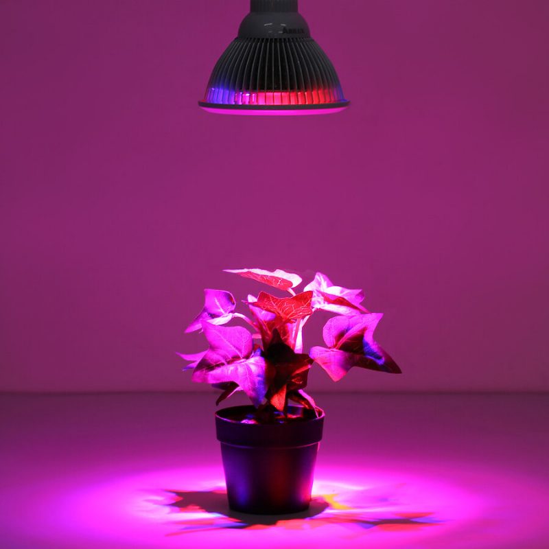 Pl-gl 01 E27 12w/24w Led Növénytermesztő Lámpa Izzó Kerti Hidroponikus Üvegházhatású Bio
