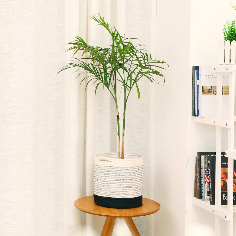 Tvird Woven Cotton Rope Basket Organizer Tárolókosár Plant Pots Szennyeskosár